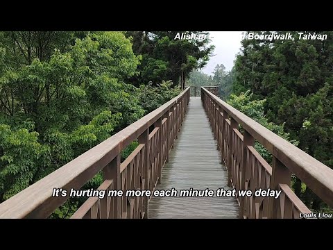 Donny Osmond  Go Away Little Girl(With Lyrics)阿里山高架木棧道