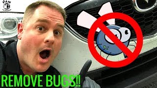 HOW TO REMOVE BUGS FROM A CAR: SUPER EASY !!!
