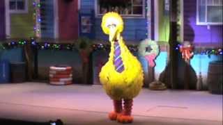 Big Bird takes a spill