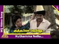 Kuthamma Nellu Video Song | Paadu Nilaave Tamil Movie Songs | Mohan | Nadiya | Ilayaraja | Vaali