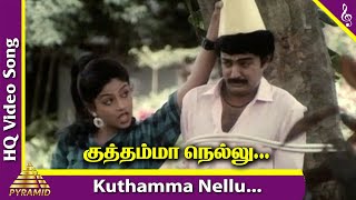 Kuthamma Nellu Video Song | Paadu Nilaave Tamil Movie Songs | Mohan | Nadiya | Ilayaraja | Vaali