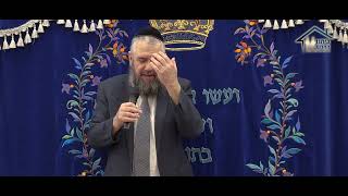 הרכב אבנר קוואס - החינוך מתחיל כבר מההריון (הרב אבנר קוואס) - התמונה מוצגת ישירות מתוך אתר האינטרנט יוטיוב. זכויות היוצרים בתמונה שייכות ליוצרה. קישור קרדיט למקור התוכן נמצא בתוך דף הסרטון