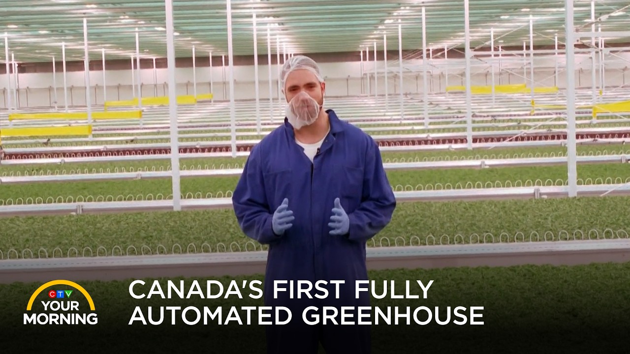 Canada's First Fully Automated Greenhouse | Your Morning