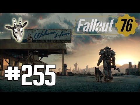 #255 ● Neue Charakterwerte ● Fallout 76 [BLIND]
