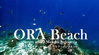 preview picture of video 'Ora Beach HD Seram Island Maluku Indonesia04'