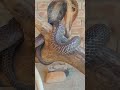 Nag Nagini Music