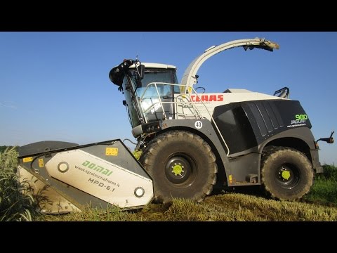 Triticale 2016: Claas Jaguar 980 "The Black Beast" & Domai Mpd 611 - Agrotecnica Fraron