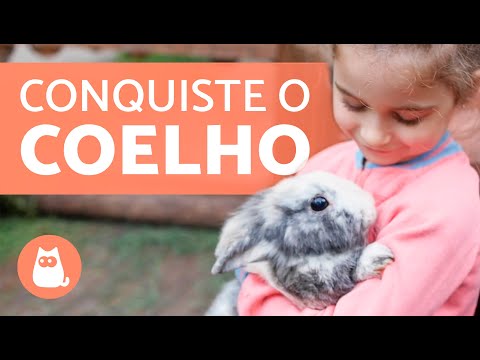 , title : 'Como GANHAR A CONFIANÇA de um COELHO? 🐰🥕'