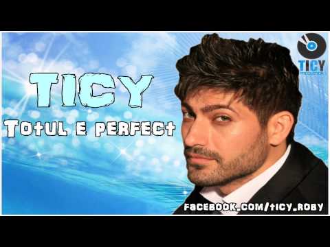 TICY - Totul e perfect ( VARIANTA SOLO )