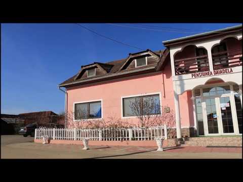 Pensiunea Daiadela, Dușești, jud Bihor