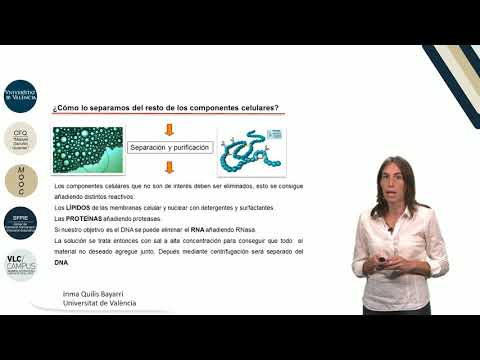 2.1. Manipulación de ácidos nucleicos