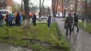 preview picture of video 'В Александрии маразм крепчает. Деревья поливаем в дождь, асфальт ложим в дождь.'