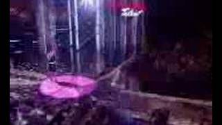 Bianca Ryan - The Rose