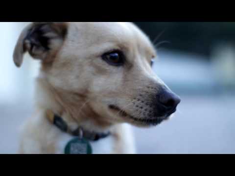 Тест Yongnuo YN 50mm F1.8 для Canon Тест Yongnuo YN 50mm F1.8 для Canon