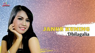 Download lagu Janur Kuning - Dhilagalia mp3