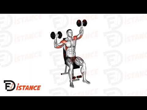 Développé militaire assis alterné haltères - Exercice Développé militaire assis alterné haltères en vidéo