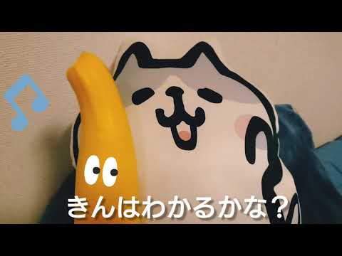 黄色ズッキーニ:最高の品種