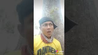 Download lagu makan belimbing nahan kecut ..😂😂 mp3 Download lagu makan belimbing nahan kecut ..😂😂 mp3