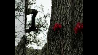 Copy of Darren Hayes - Words.