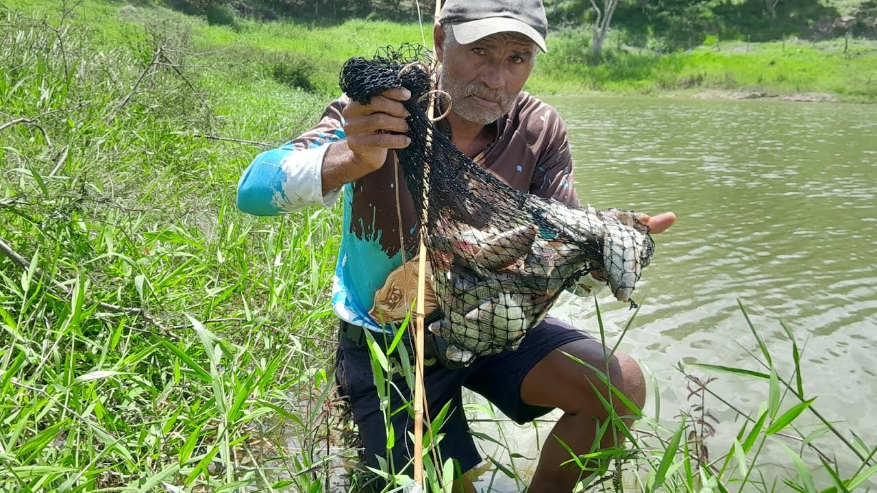 pescaria caipira com vara de bambu pegando muitos tilápias #rio #pesca