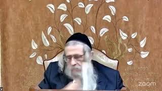 הגה"ח הרב מענדל וועכטר שליט"א - שיעור מיוחד בענייני השובבים (הרב אברהם מנחם מענדל וכטר) - התמונה מוצגת ישירות מתוך אתר האינטרנט יוטיוב. זכויות היוצרים בתמונה שייכות ליוצרה. קישור קרדיט למקור התוכן נמצא בתוך דף הסרטון