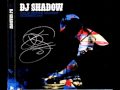 DJ Shadow - UNKLE Megamix (Live at Brixton ...