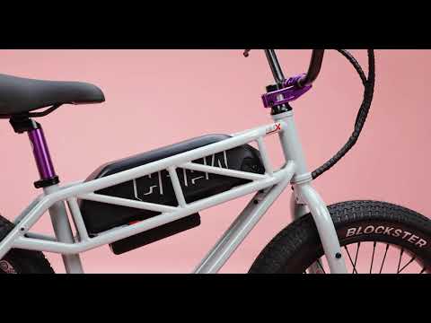 A closer look at the Crew Mini-X