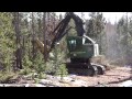 Feller Buncher 