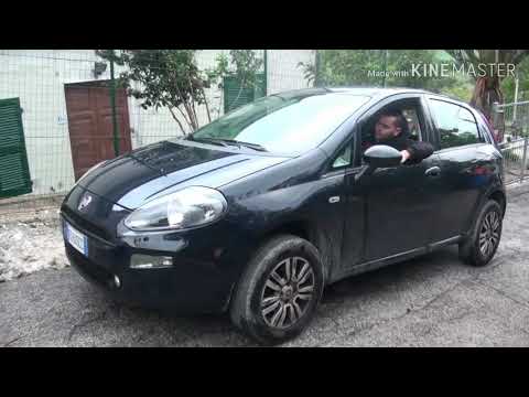 Barzelletta - il cane meccanico