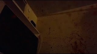 Zoom Cloud Hack - #91784 - The Tribe Murders