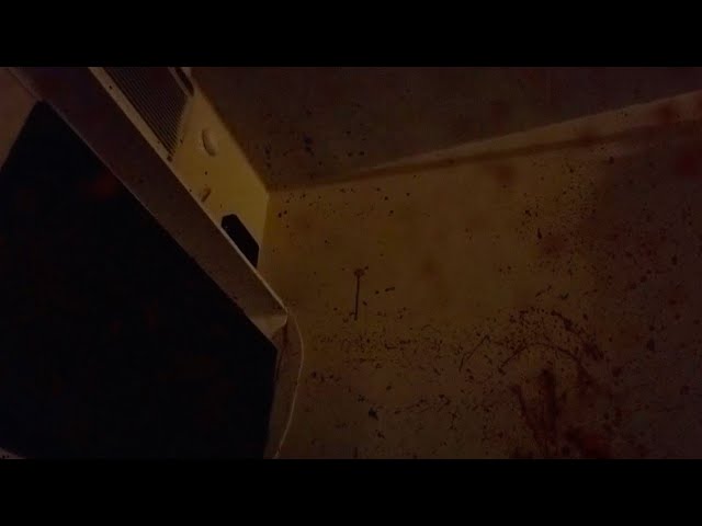 Zoom Cloud Hack - #91784 - The Tribe Murders