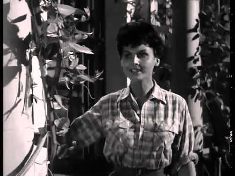 Danger Man   1x35   Find and Destroy - Full Episode