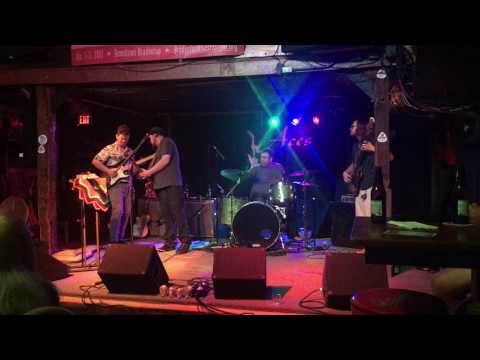 The Damon Fowler Group