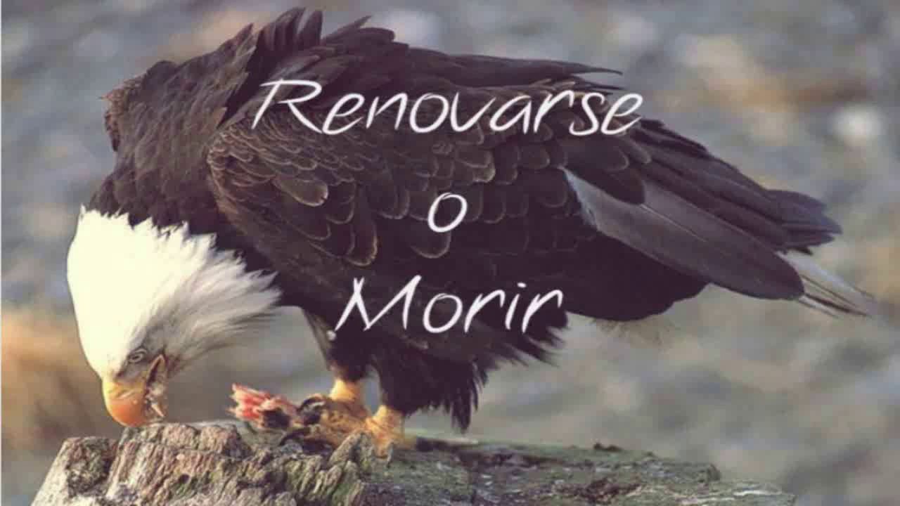 Renovarse o Morir Tu Decides