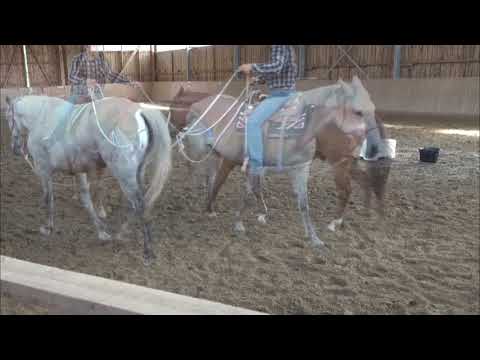 MUSTANG MAKEOVER 2018 Team Birger (Team 4023) - Update 4