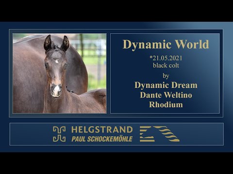 11 Dynamic World by Dynamic Dream - Dante Weltino - Rhodium