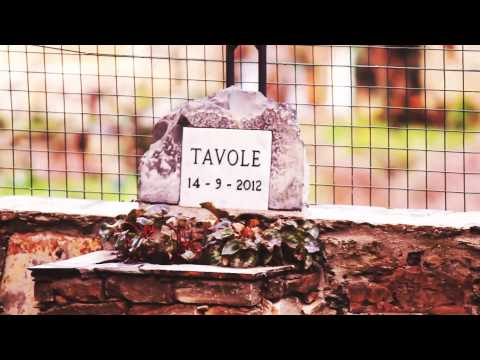 ALEX ANTONOV - Armadio a Specchio (Tripartito) - VIDEO UFFICIALE 2013