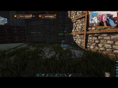 Can We Survive. Casual Chat Extinction Survival Pt8 Base Building