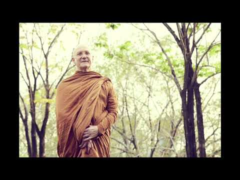 Sila and Right View | Ajahn Pasanno