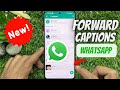 How to Forward Media with and without Captions on WhatsApp