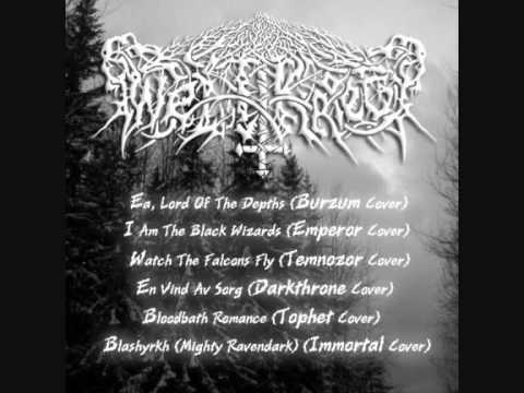 Weltkrieg - 4 - En Vind Av Sorg (Darkthrone cover) video thumbnail