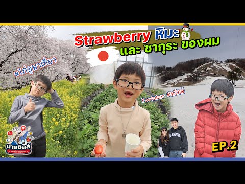 🇯🇵 ขับรถไปเรื่อยที่ญี่ปุ่น | ทริปครอบครัว | นายชิลล์