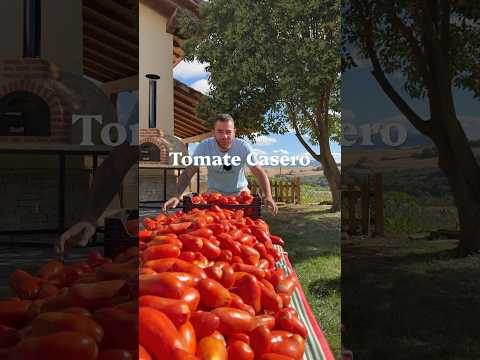 🍅TOMATE🍅