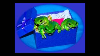 WE WISH YOU A MERRY CHRISTMAS SONG