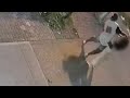 Woman Groped And Punched