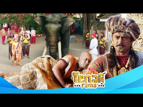 पंडित रामा को दण्ड देने महाराज ने तेनाली भेजे हाथी | Best of Tenali Rama | Full Episode