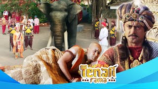 पंडित रामा को दण्ड देने महाराज ने तेनाली भेजे हाथी | Best of Tenali Rama | Full Episode