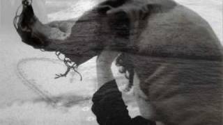 Amedeo Minghi - Alla leggera