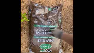 Laying down mulch quick cut - Earthgro Scotts Brown Mulch