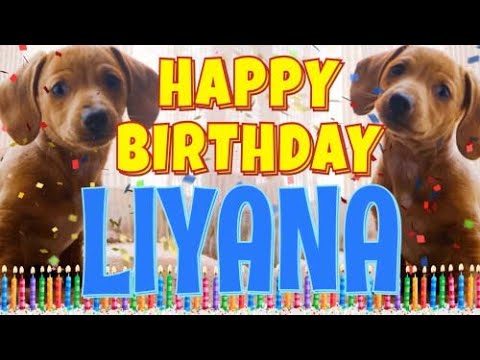 Happy Birthday Liyana! ( Funny Talking Dogs ) What Is Free On My Birthday